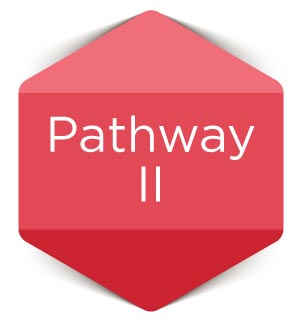 Pathway-II
