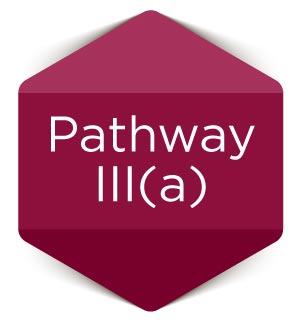 Pathway-IIIa