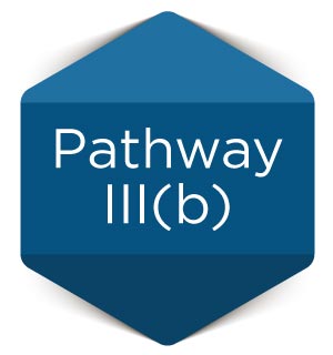 Pathway-IIIb