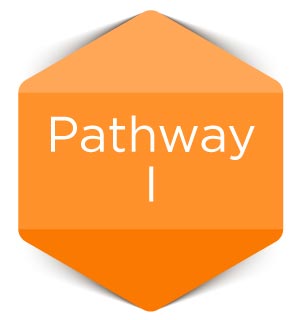 Pathway-I