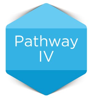 Pathway-IV