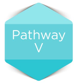 Pathway-V